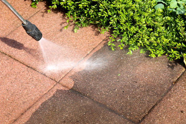 Best Best Pressure Washing Companies  in Bawcomville, LA